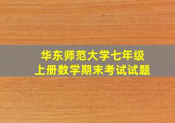 华东师范大学七年级上册数学期末考试试题