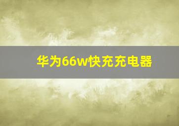 华为66w快充充电器