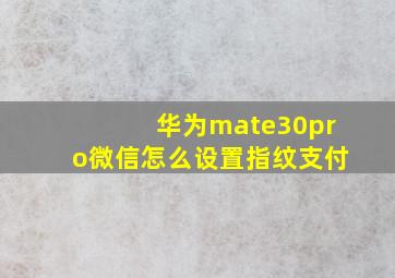 华为mate30pro微信怎么设置指纹支付