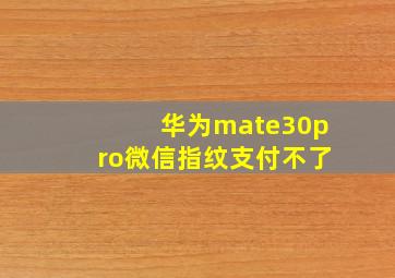 华为mate30pro微信指纹支付不了