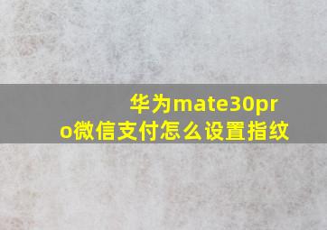 华为mate30pro微信支付怎么设置指纹