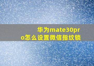 华为mate30pro怎么设置微信指纹锁