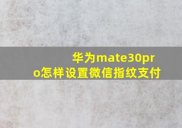 华为mate30pro怎样设置微信指纹支付