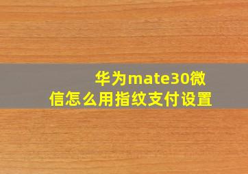 华为mate30微信怎么用指纹支付设置