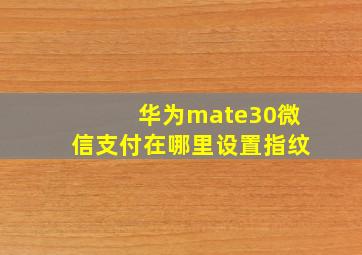 华为mate30微信支付在哪里设置指纹