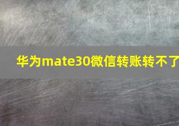 华为mate30微信转账转不了