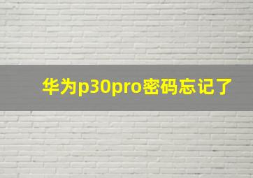 华为p30pro密码忘记了