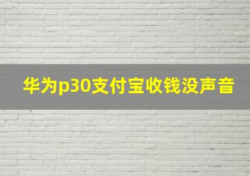 华为p30支付宝收钱没声音