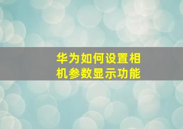 华为如何设置相机参数显示功能