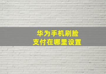 华为手机刷脸支付在哪里设置