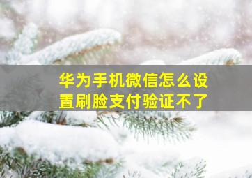 华为手机微信怎么设置刷脸支付验证不了