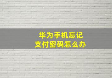 华为手机忘记支付密码怎么办