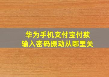 华为手机支付宝付款输入密码振动从哪里关