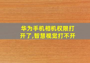 华为手机相机权限打开了,智慧视觉打不开