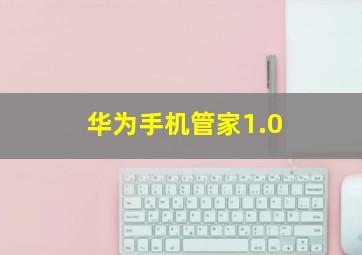 华为手机管家1.0