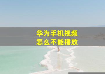 华为手机视频怎么不能播放