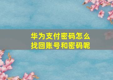 华为支付密码怎么找回账号和密码呢