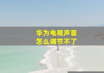 华为电视声音怎么调节不了