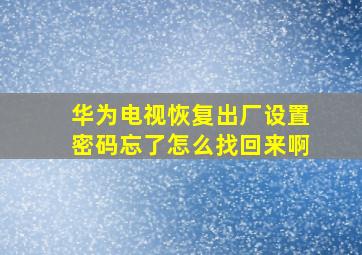 华为电视恢复出厂设置密码忘了怎么找回来啊