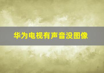 华为电视有声音没图像