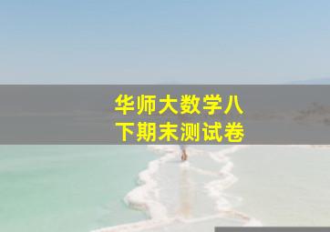 华师大数学八下期末测试卷