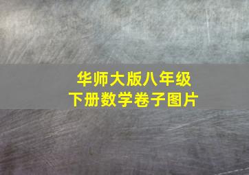 华师大版八年级下册数学卷子图片