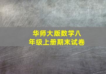 华师大版数学八年级上册期末试卷