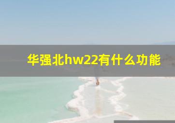 华强北hw22有什么功能