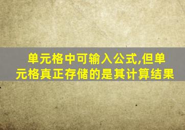 单元格中可输入公式,但单元格真正存储的是其计算结果