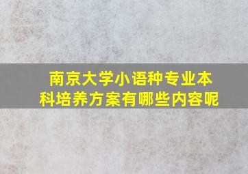 南京大学小语种专业本科培养方案有哪些内容呢