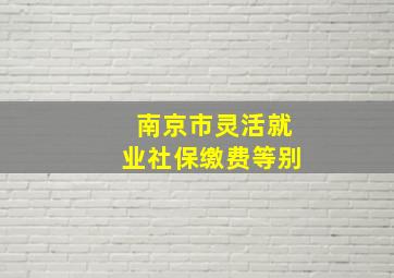 南京市灵活就业社保缴费等别