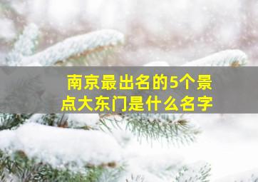 南京最出名的5个景点大东门是什么名字