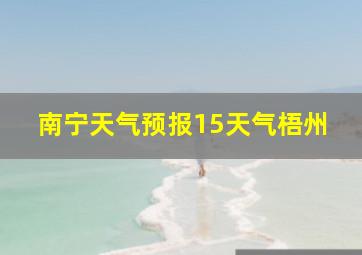 南宁天气预报15天气梧州