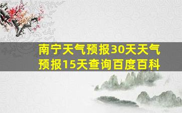 南宁天气预报30天天气预报15天查询百度百科