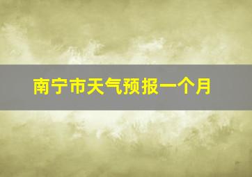 南宁市天气预报一个月