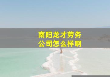 南阳龙才劳务公司怎么样啊