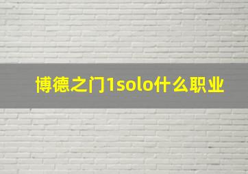 博德之门1solo什么职业