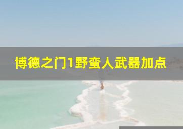 博德之门1野蛮人武器加点