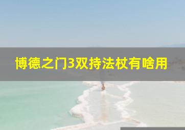 博德之门3双持法杖有啥用