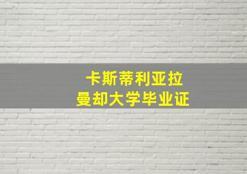 卡斯蒂利亚拉曼却大学毕业证