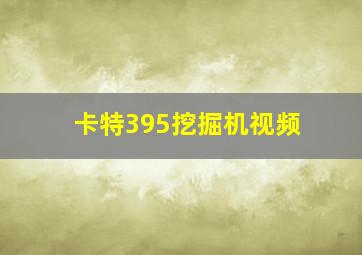 卡特395挖掘机视频