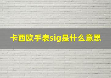 卡西欧手表sig是什么意思