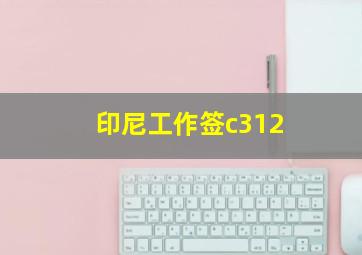 印尼工作签c312