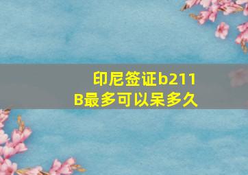 印尼签证b211B最多可以呆多久