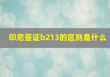 印尼签证b213的区别是什么