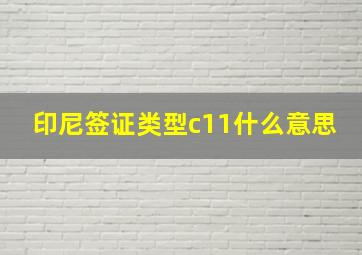 印尼签证类型c11什么意思