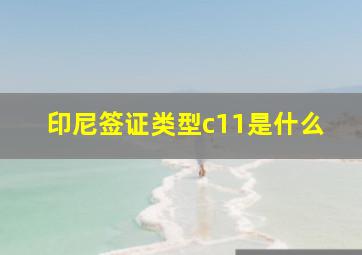 印尼签证类型c11是什么