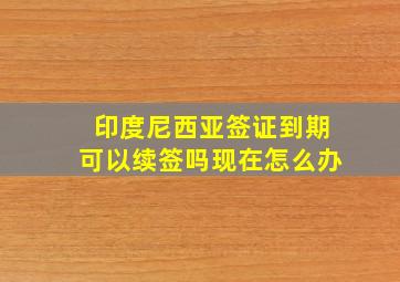 印度尼西亚签证到期可以续签吗现在怎么办