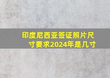 印度尼西亚签证照片尺寸要求2024年是几寸