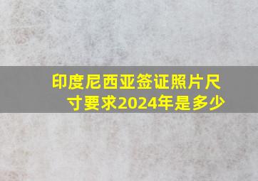 印度尼西亚签证照片尺寸要求2024年是多少